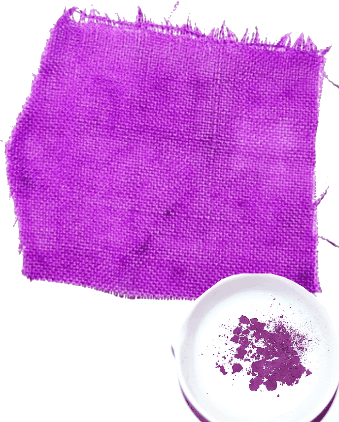 colorante fabricado con el  componente del púrpura del caracol